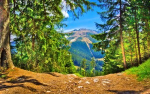Nízke Tatry