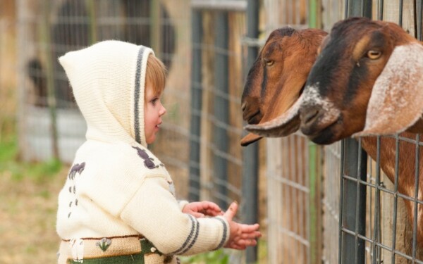 Xantus János ZOO