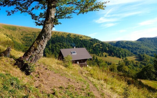 Žarnovická dolina