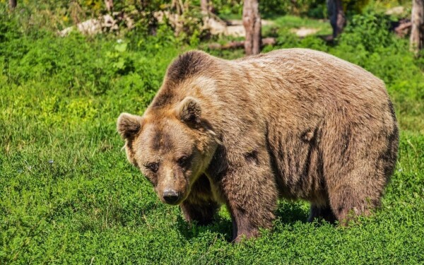 ZOO Miskolc