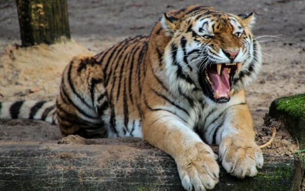 ZOO a botanická zahrada Debrecen