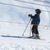 Ski Opálená