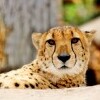 Zoo Olomouc