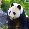 Zoo a akvárium Berlín