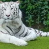 Zoo Liberec