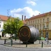 Mesto Žatec