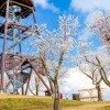 Mandľovníkové sady a rozhľadňa