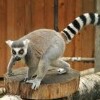Zoo Spišská Nová Ves