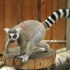 Zoo Spišská Nová Ves