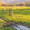 Jizerskohorské bučiny 