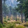 Národná prírodná rezervácia Šerák - Keprník