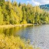 Plešné jezero