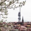 Žižkovská televízna veža