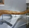 Múzeum Panónskeho mora v Miskolci