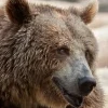 Zoo Děčín