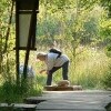 Národná prírodná rezervácia Soos