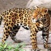 ZOO Bratislava