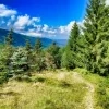 Rozhľadňa na hore Mlynica