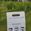 Vinárstvo Kristinus
