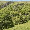 Veľká kotlina
