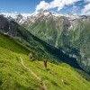 Alexander Enzinger Trail