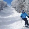 Ski areál Jimramov