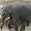 ZOO Krakov