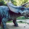 Dinopark Szklarska Poręba