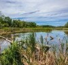 Národný Park Donau Auen