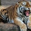 ZOO a botanická záhrada Debrecín