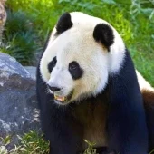 Zoo a akvárium Berlín