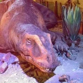 DinoPark Plaza Liberec