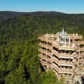 Rozhľadňa a chodník korunami stromov Krynica-Zdrój