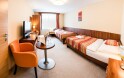 Izba, Hotel Artaban ****, Žirovnice, Vysočina