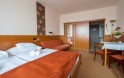 Apartmán Standard PLUS, Apartman Hotel Bükfürdő ***, Maďarsko