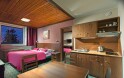 Apartmán, (2 spálne + kuchynka), Hotel Tetřeví Boudy ***