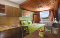 Apartmán (2 spálne + kuchynka + výhľad), Hotel Tetřeví Boudy ***