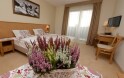 Izba Premium 2+0, Hotel Alpejski ***, Polanica-Zdrój