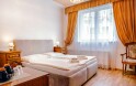 Dvojlôžková izba deluxe s manželskou posteľou a prístelkou, Hotel Praga, Karlove Vary