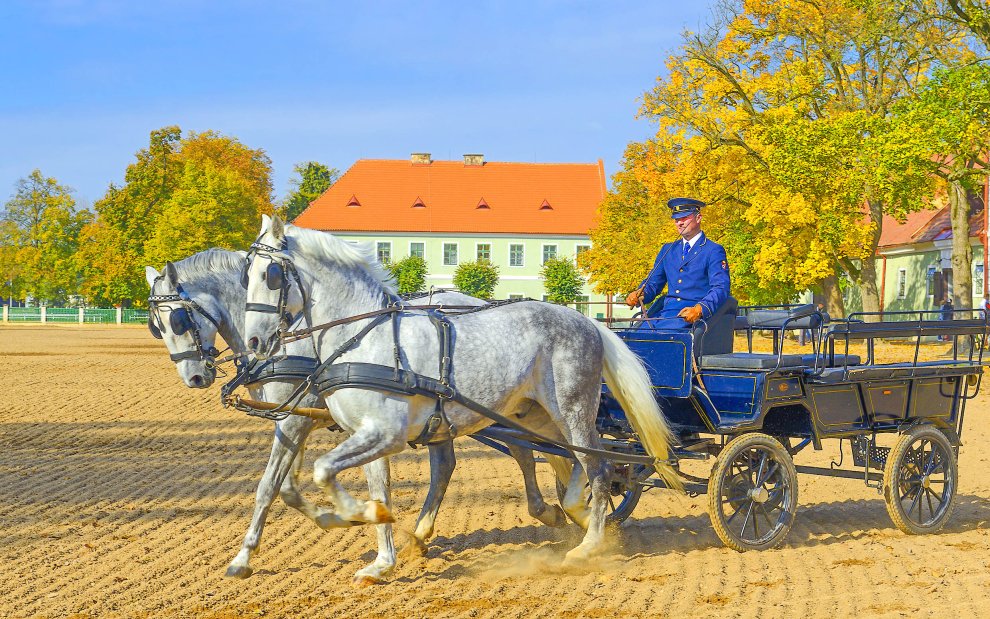 Národní hřebčín Kladruby nad Labem