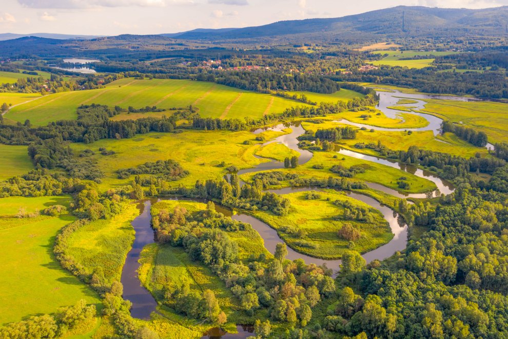 Šumava